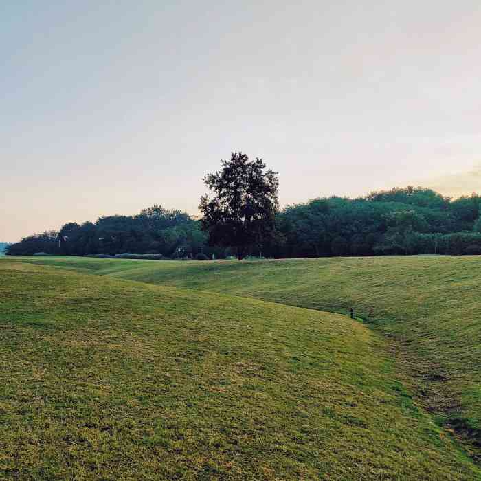 西区大草原-"今天衢州,难得的开太阳,天气这么好,一个.