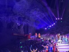 -广州长隆国际大马戏