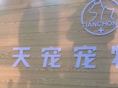 -天宠宠物医院24小时·急重症诊疗中心·全科·腔镜特色(和平分院)