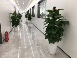 点击看大图 -悟空祛痘