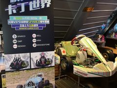 -枫花园汽车电影院(朝阳公园店)