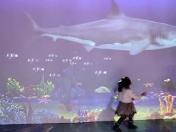 -小鸡哆哆故事屋·儿童乐园(嘉里城店)