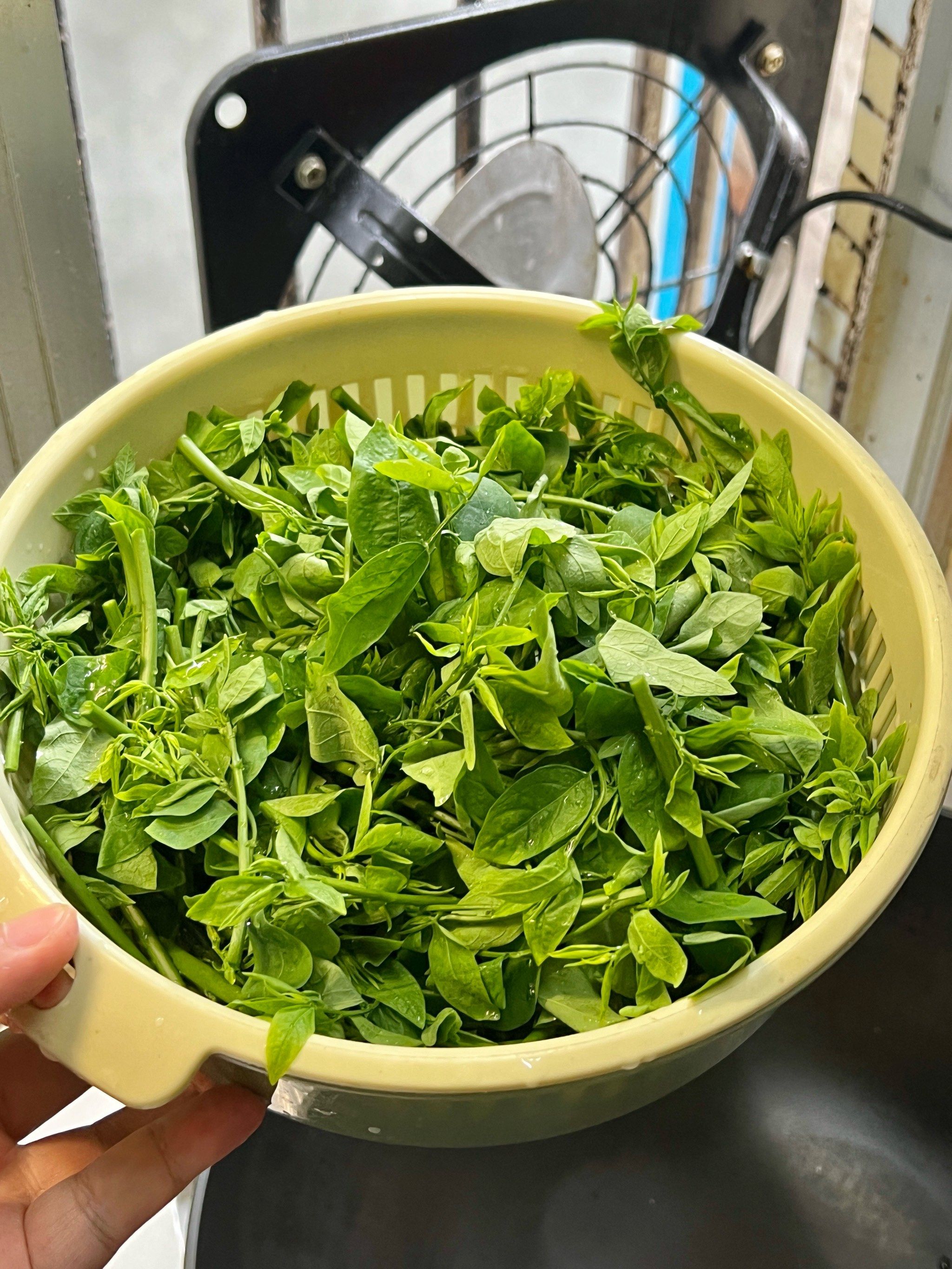 味道独特的一种野菜,天绿香