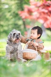 点击看大图 -胡子叔叔亲子儿童摄影旗舰店