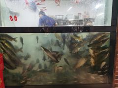 -肥鱼屯活鱼锅(惠工街店)