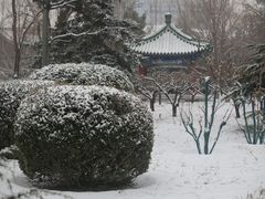 -月坛公园