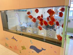 点击看大图 -杭州贝瑞斯美华妇儿医院·早孕·产检·儿科