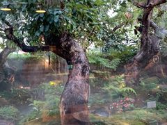 -Chom Cafe and Restaurant