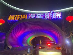 -枫花园汽车电影院(朝阳公园店)