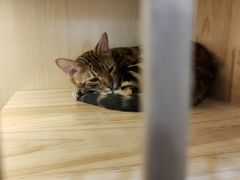 -中粮万科长阳半岛