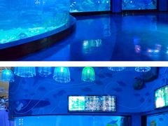 -烟台海昌鲸鲨海洋公园