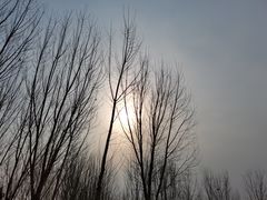 -东华门大街小区