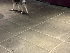 -瑞虹新天地月亮湾