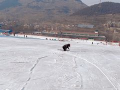 -济南卧虎山滑雪场