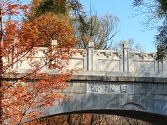 -白水寺森林公园