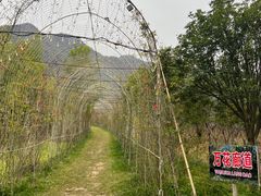 -太平万花山景区