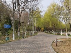 -金星公园