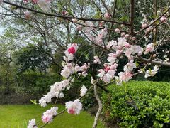 -桃花岛景观公园
