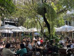 -Fern Forest Cafe