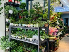 -溪岸路花鸟市场