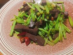-蒙古苍狼蒙餐
