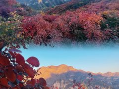 -周口店坡峰岭风景区
