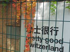 -三里屯东五街银杏大道