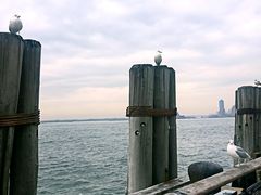 -巴特里公园