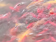 -狼山风景名胜区