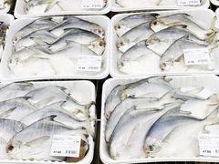 -盒马X会员店(上海森兰商都店)