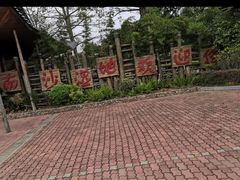 -大湾区中央湿地公园