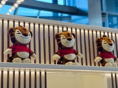 -奔驰上海利星(七宝店)