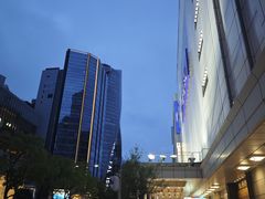 -矢场猪(名古屋站三井楼北馆店)