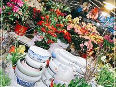 -曲阳花鸟市场(曲阳路店)