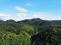 -武陵山森林公园