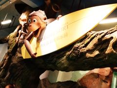 -杭州开元森泊度假乐园