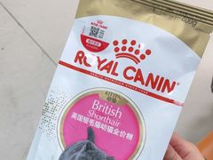 -申普宠物医院·心脏介入·心血管微创(总院)