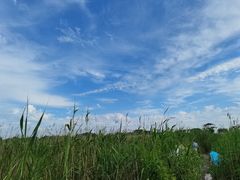 -南汇嘴观海公园