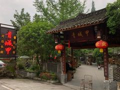 -青城甲(青城山店)