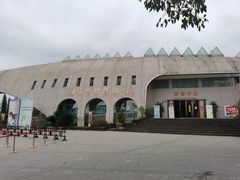 -自贡恐龙博物馆