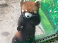 -常州淹城野生动物世界