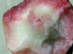 -家辉生鲜超市(东五路店)