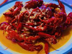 -杨氏青龙虾·羊蝎子(托乐嘉店)