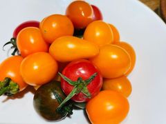 -鸽子窝(万丰路店)