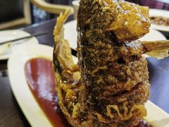 -老牌坊鲁菜名店(聊城美食岛店)