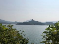 -望湖烤鱼