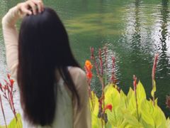-四海公园(南山区)
