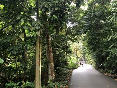 -武吉知马自然保护区