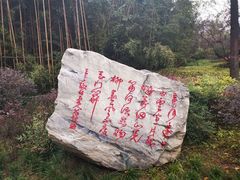 -唐城墙遗址公园