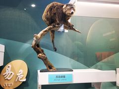 -国家自然博物馆